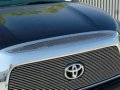 Grille - Grille Trim