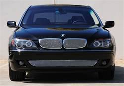 T-Rex Grilles 44999 Sport Series Formed Mesh Grille Insert