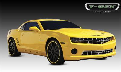T-Rex Grilles 66027 Custom Series Grille Insert