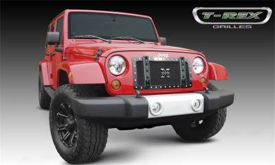 T-Rex Grilles 6454831 X-Metal Series Baja Bars