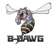 B-Dawg - B-Dawg BD-60205-CC Steel Cargo Carrier 60" x 20" x 5"